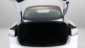 Tesla Model 3 ALL MODELS