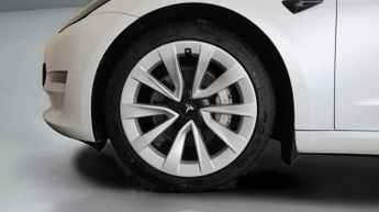 Tesla Model 3 ALL MODELS