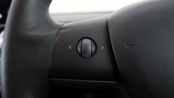 Tesla Model 3 ALL MODELS