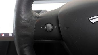 Tesla Model 3 ALL MODELS