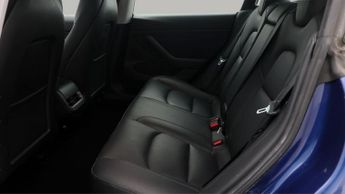 Tesla Model 3 ALL MODELS