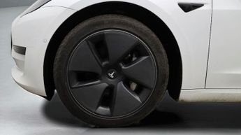 Tesla Model 3 ALL MODELS