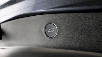 Tesla Model 3 ALL MODELS