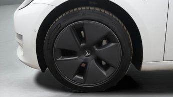 Tesla Model 3 ALL MODELS