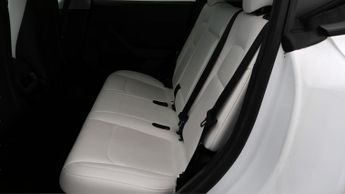 Tesla Model Y ALL MODELS