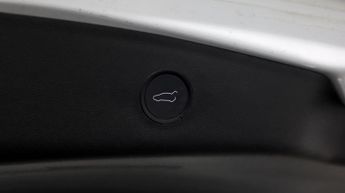 Tesla Model 3 ALL MODELS