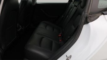 Tesla Model 3 ALL MODELS