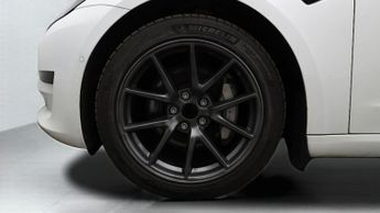 Tesla Model 3 ALL MODELS