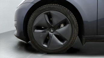 Tesla Model 3 ALL MODELS