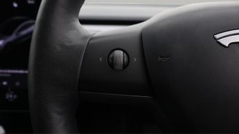 Tesla Model 3 ALL MODELS