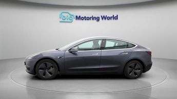 Tesla Model 3 ALL MODELS