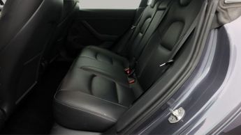 Tesla Model 3 ALL MODELS