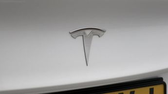 Tesla Model 3 ALL MODELS