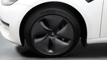 Tesla Model 3 ALL MODELS