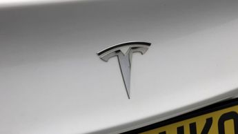 Tesla Model 3 ALL MODELS