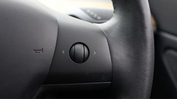 Tesla Model 3 ALL MODELS