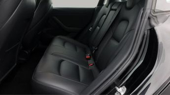 Tesla Model 3 ALL MODELS