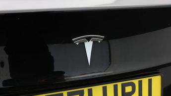 Tesla Model 3 ALL MODELS