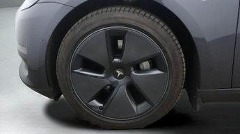 Tesla Model 3 ALL MODELS