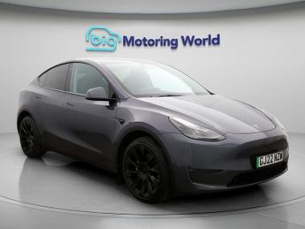 Tesla Model Y ALL MODELS