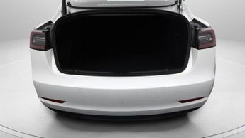 Tesla Model 3 ALL MODELS