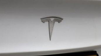 Tesla Model 3 ALL MODELS