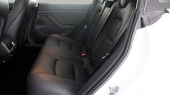 Tesla Model 3 ALL MODELS