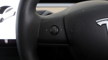 Tesla Model 3 ALL MODELS