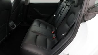 Tesla Model 3 ALL MODELS