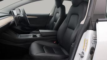 Tesla Model 3 ALL MODELS