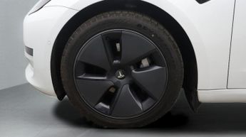 Tesla Model 3 ALL MODELS