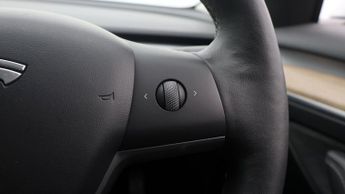 Tesla Model 3 ALL MODELS