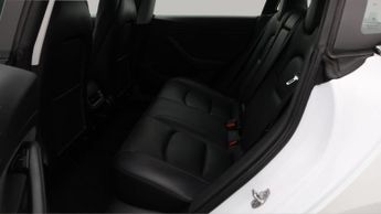 Tesla Model 3 ALL MODELS