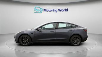 Tesla Model 3 ALL MODELS