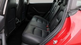 Tesla Model 3 ALL MODELS