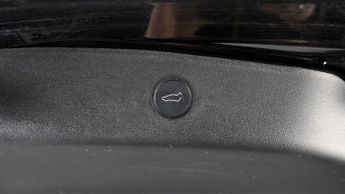 Tesla Model 3 ALL MODELS