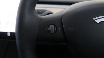 Tesla Model 3 ALL MODELS