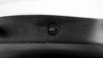 Tesla Model 3 ALL MODELS