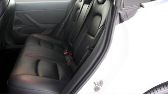 Tesla Model 3 ALL MODELS