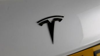 Tesla Model 3 ALL MODELS