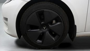 Tesla Model 3 ALL MODELS