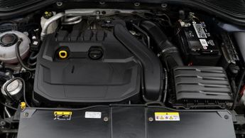 Volkswagen T-Roc SEL TSI EVO DSG