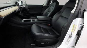 Tesla Model 3 ALL MODELS