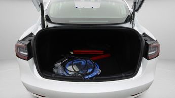 Tesla Model 3 ALL MODELS