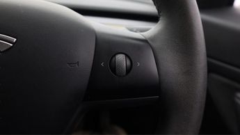 Tesla Model 3 ALL MODELS