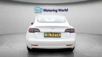 Tesla Model 3 ALL MODELS