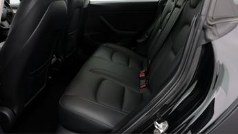 Tesla Model 3 ALL MODELS