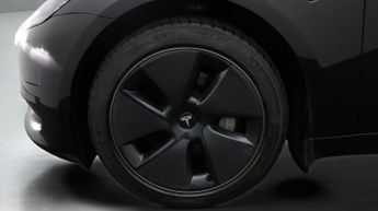 Tesla Model 3 ALL MODELS