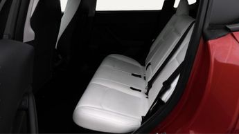 Tesla Model Y ALL MODELS