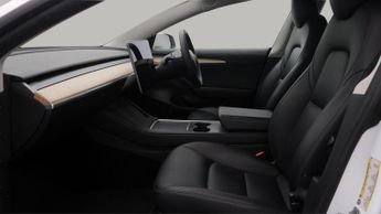 Tesla Model 3 ALL MODELS